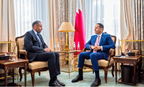 വിദേശകാര്യ മന്ത്രി ഉന്നതതല കൂടിക്കാഴ്ചകൾ നടത്തി