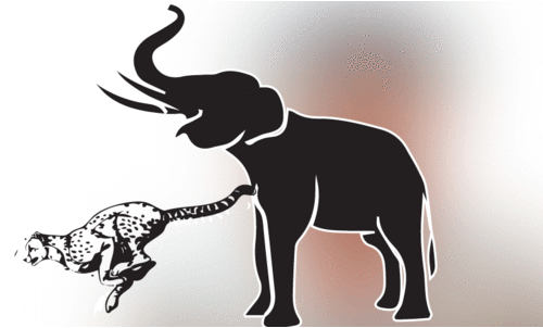 കാടിറങ്ങി വന്യമൃഗങ്ങൾ;  ഇതുവരെ പരിക്കേറ്റത്​ 291 പേർക്ക്