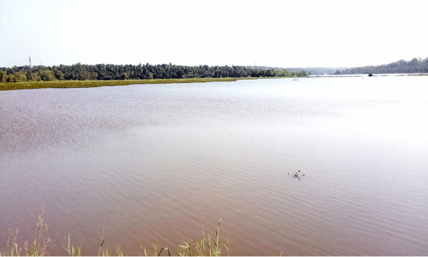 വെ​ള്ളാ​യ​ണിയെന്ന സുന്ദരതീരം...