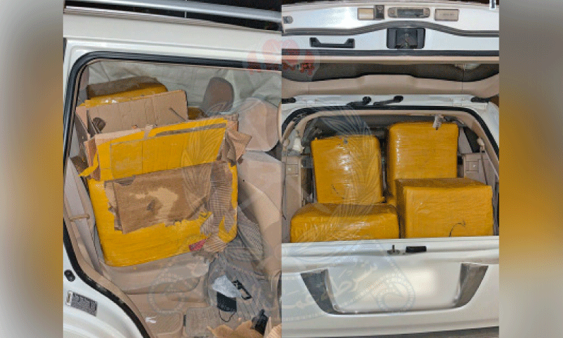 മയക്കുമരുന്ന് പിടിച്ചെടുത്തപ്പോൾ മയക്കുമരുന്ന് പിടിച്ചെടുത്തപ്പോൾ