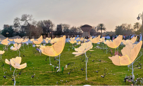 അൽഐൻ ജാഹിലി പാർക്കിൽ ഒരുക്കിയിരിക്കുന്ന ഇലക്ട്രോണിക് പുഷ്പങ്ങൾ അൽഐൻ ജാഹിലി പാർക്കിൽ ഒരുക്കിയിരിക്കുന്ന ഇലക്ട്രോണിക് പുഷ്പങ്ങൾ