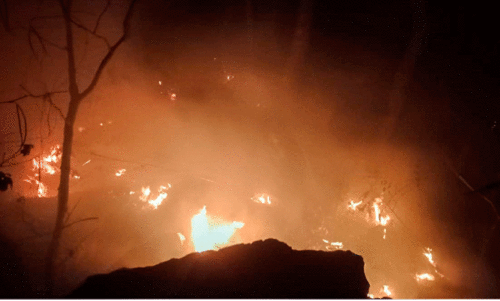 ഇല്ലിചാരി മലയിൽ അണയാതെ തീ