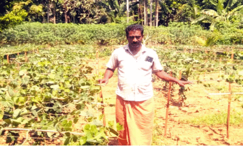 ഭായ് കാ ദോസ്ത് ജോബി