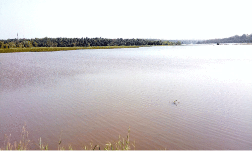 വെ​ള്ളാ​യ​ണിയെന്ന സുന്ദരതീരം...