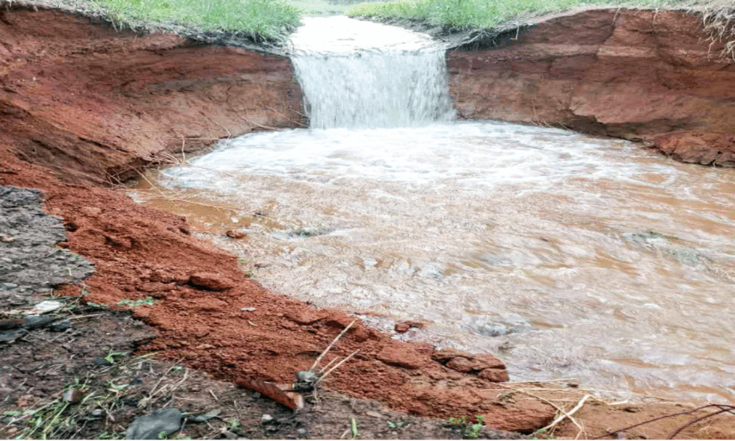 ചുനക്കരയിൽ കനാൽ ഇടിഞ്ഞു;  വീടുകളിലും പാടശേഖരത്തും വെള്ളം കയറി