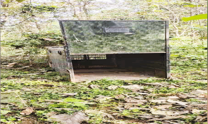 പു​ലി ധോ​ണി​യി​ൽ ത​ന്നെ;  പി​ടി​കൂ​ടാ​ൻ കൂ​ട് സ്ഥാ​പി​ച്ചു