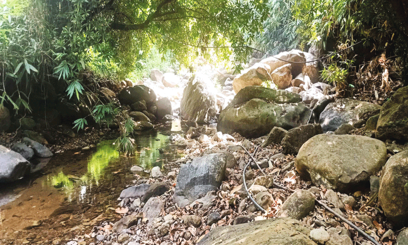 ജലസ്രോതസ്സുകൾ മെലിയുന്നു;  ജൽജീവൻ പദ്ധതി ഈ വർഷം ഉണ്ടാവില്ല