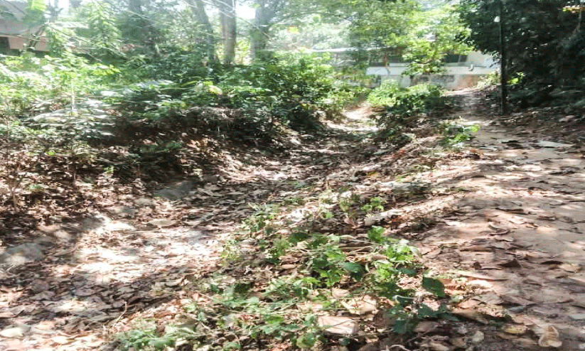 കൃഷി കരിയുന്നതായി കർഷകർ;  കനാൽജലം എവിടെ?