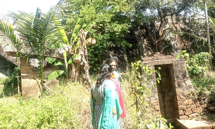 വെള്ളക്കെട്ടിനും കൃഷിനാശത്തിനും വഴിയൊരുക്കി ആലുവത്തോട്​ ചിറയിലെ ഷട്ടർ