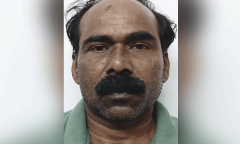 റെജി റെജി