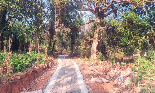 ഇടവെട്ടി കുട്ടിവനം നഗരവനം പദ്ധതിയിൽ