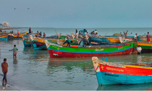 മത്സ്യബന്ധന ബോട്ടുകൾ കൊച്ചി  ഫിഷറീസ് ഹാർബർ വിടുന്നു?