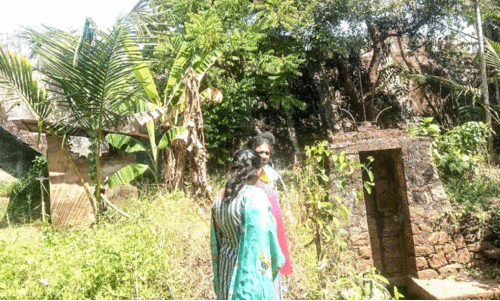 വെള്ളക്കെട്ടിനും കൃഷിനാശത്തിനും വഴിയൊരുക്കി ആലുവത്തോട്​ ചിറയിലെ ഷട്ടർ