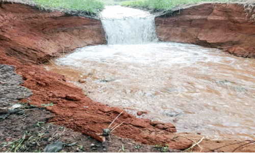 ചുനക്കരയിൽ കനാൽ ഇടിഞ്ഞു;  വീടുകളിലും പാടശേഖരത്തും വെള്ളം കയറി