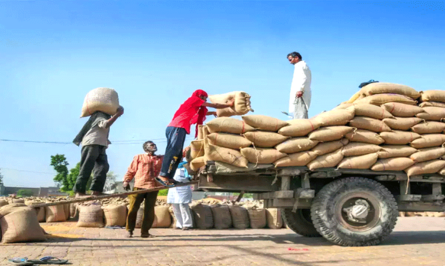 മു​ഴ​പ്പി​ല​ങ്ങാ​ട് എ​ഫ്.​സി.​ഐ ഗോ​ഡൗ​ൺ ച​ര​ക്കു​നീ​ക്കം പു​ന​രാ​രം​ഭി​ച്ചു