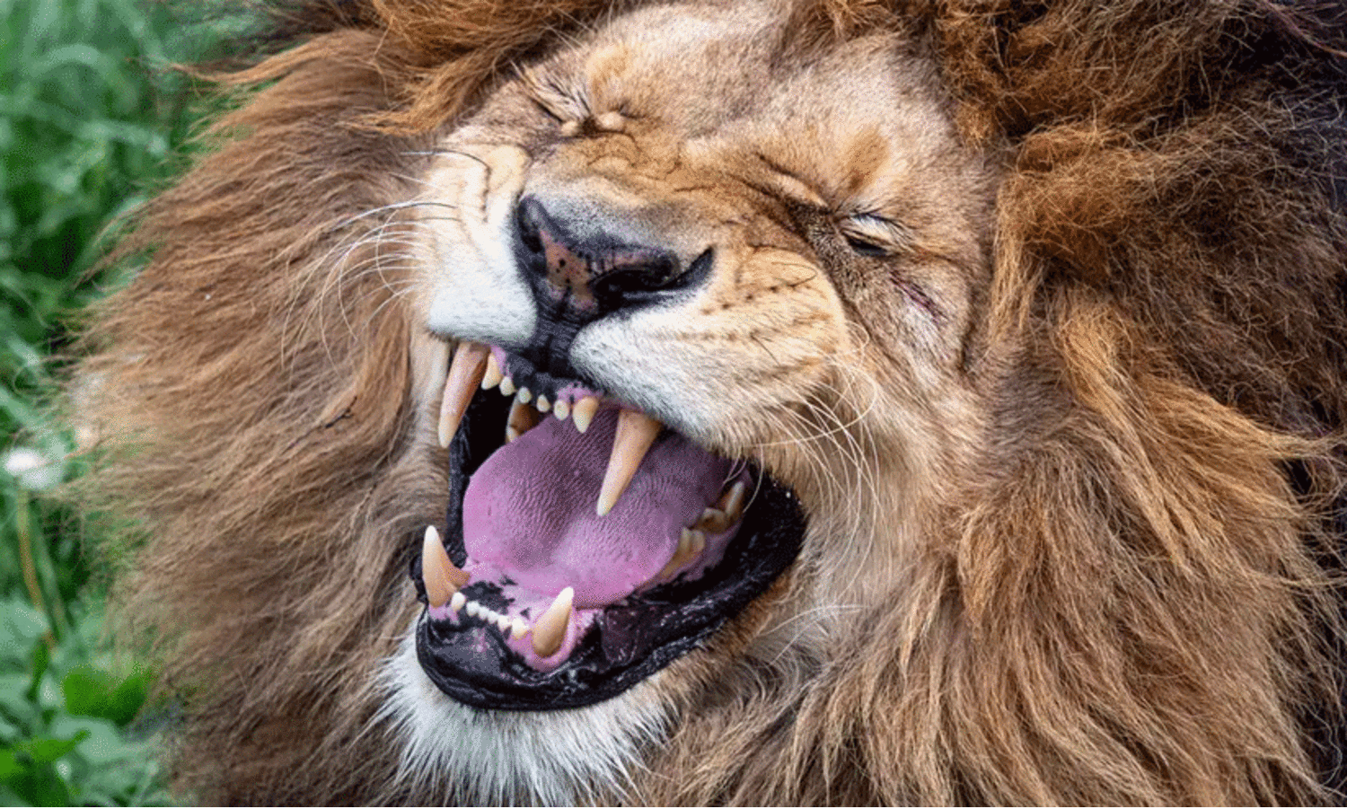 പ്രതീകാത്മക ചിത്രം