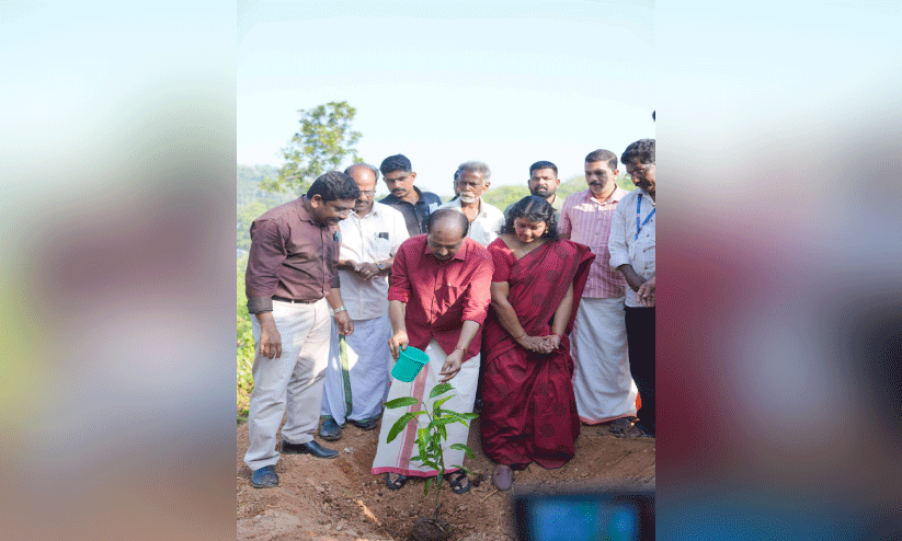 നെടുമങ്ങാട് മാമ്പഴഗ്രാമം പദ്ധതിക്ക് തുടക്കം നെടുമങ്ങാട് മാമ്പഴഗ്രാമം പദ്ധതിക്ക് തുടക്കം