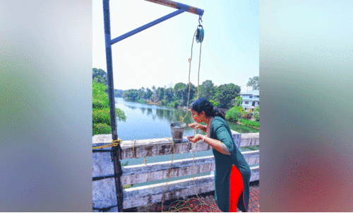 വേനൽച്ചൂടിൽ വെന്തുരുകി കോട്ടയം വേനൽച്ചൂടിൽ വെന്തുരുകി കോട്ടയം