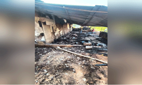 തളിപ്പറമ്പിൽ ഫര്‍ണിച്ചർ നിര്‍മാണശാലയില്‍ തീപിടിത്തം