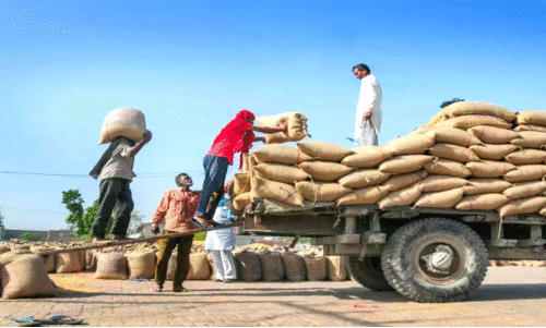 മു​ഴ​പ്പി​ല​ങ്ങാ​ട് എ​ഫ്.​സി.​ഐ ഗോ​ഡൗ​ൺ ച​ര​ക്കു​നീ​ക്കം പു​ന​രാ​രം​ഭി​ച്ചു