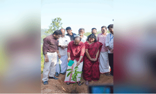 നെടുമങ്ങാട് മാമ്പഴഗ്രാമം പദ്ധതിക്ക് തുടക്കം