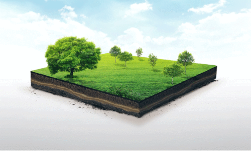 കാത്തിരിപ്പിന്​ അമ്പതാണ്ട്; ദര്‍ഭക്കുളം നിവാസികളിപ്പോഴും ഭൂരഹിതർ