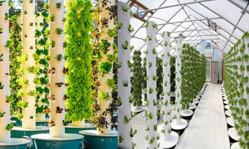 ടവർ ഫാമിങ് അഥവാ ഗോപുര കൃഷി