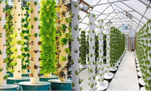 ടവർ ഫാമിങ് അഥവാ ഗോപുര കൃഷി