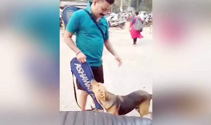 ഷിജുവിനോട് റെയിൽവേ സ്റ്റേഷനു സമീപത്ത് സ്നേഹം പങ്കുവെക്കുന്ന നായ് ഷിജുവിനോട് റെയിൽവേ സ്റ്റേഷനു സമീപത്ത് സ്നേഹം പങ്കുവെക്കുന്ന നായ്