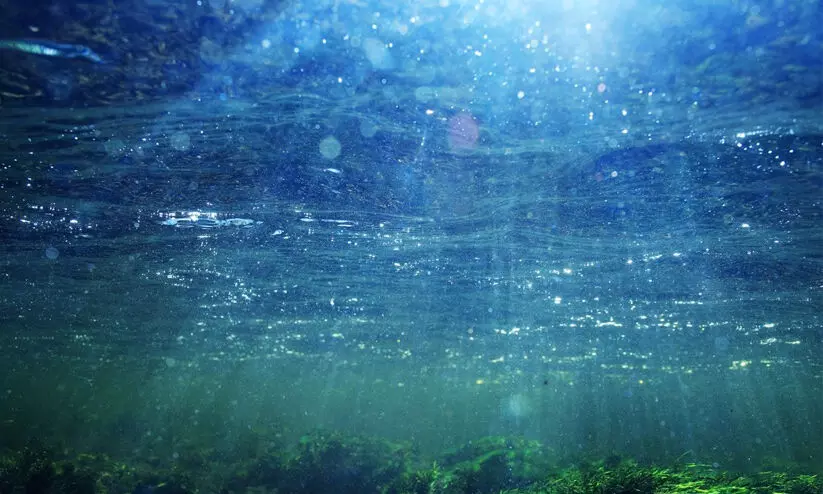 ബഹ്റൈൻ: മത്സ്യസമ്പത്ത് സംരക്ഷിക്കുന്നതിന് വിപുല പദ്ധതികൾ ചർച്ച ചെയ്തു ബഹ്റൈൻ: മത്സ്യസമ്പത്ത് സംരക്ഷിക്കുന്നതിന് വിപുല പദ്ധതികൾ ചർച്ച ചെയ്തു