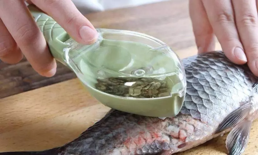 നി​യ​മ ലം​ഘ​നം:     മ​ത്സ്യം ക​യ​റ്റു​മ​തി ചെ​യ്യു​ന്ന   ക​മ്പ​നി​ക​ൾ​ക്കെ​തി​രെ ന​ട​പ​ടി