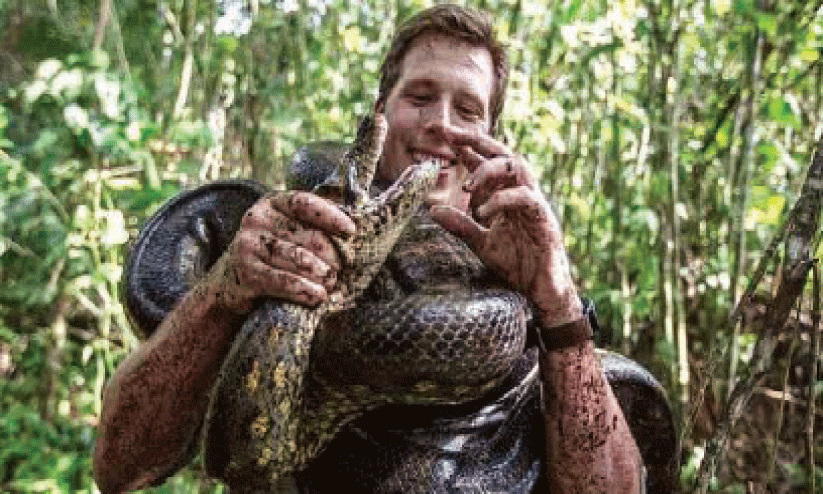 ലോകത്തിലെ ഏറ്റവും വലിയ പാമ്പ് ഭാരം 500 കിലോ; നീളം 26 അടി ലോകത്തിലെ ഏറ്റവും വലിയ പാമ്പ് ഭാരം 500 കിലോ; നീളം 26 അടി