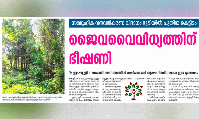 cutting tree news cutting tree news