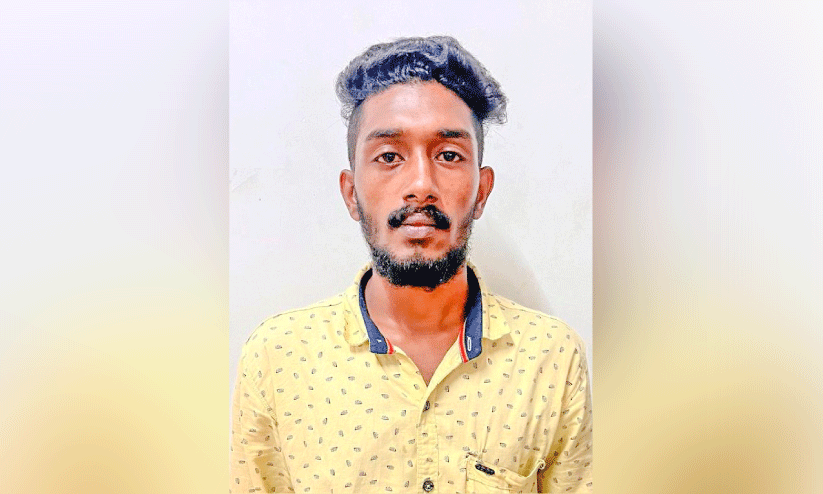 vijo robin vijo robin