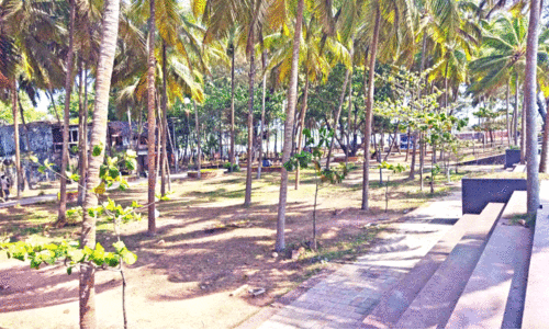 ഫ​​ണ്ടു​​ക​​ൾ വാ​​രി​​ക്കോ​​രി; സാ​​ൻ​​ഡ് ബാ​​ങ്ക്സി​​ന് വി​​ക​​സ​​നം മാ​​ത്ര​​മി​​ല്ല