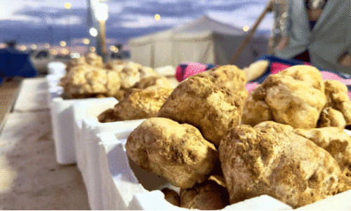 ഫ​ഖ​അ കി​ഴ​ങ്ങ്​