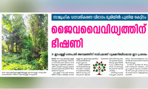 cutting tree news cutting tree news