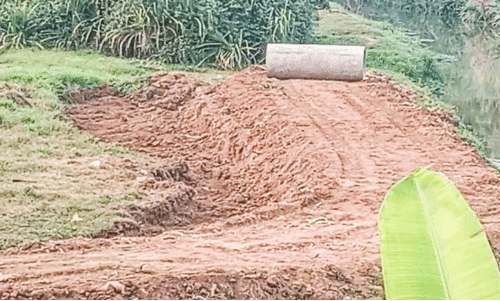 filling the field filling the field