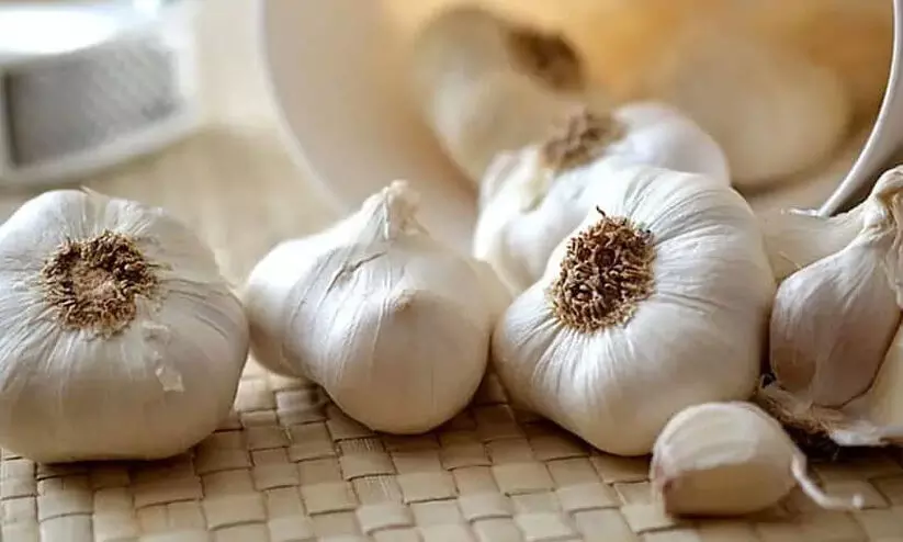 Garlic