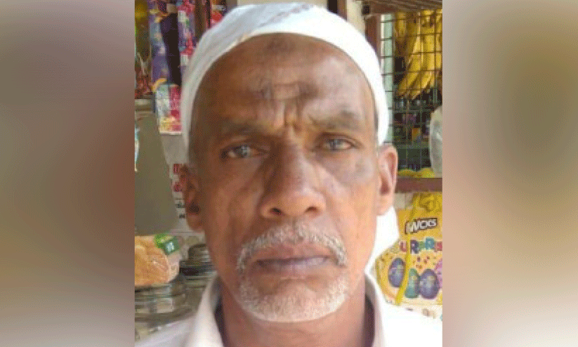 animl attack animl attack