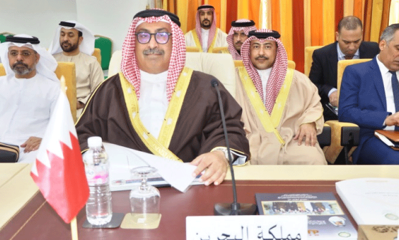 arab foriegn ministers committee meeting arab foriegn ministers committee meeting