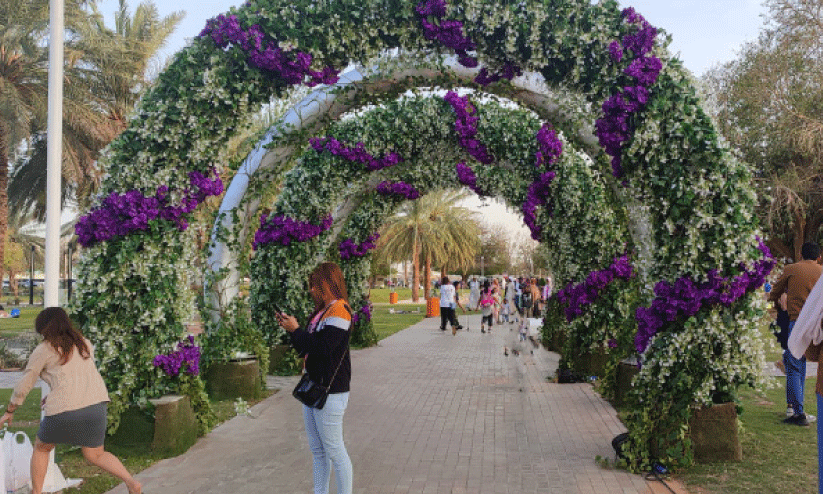 flower festival flower festival