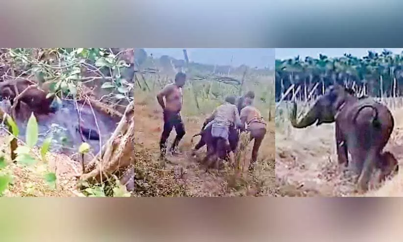 parambikulam parambikulam