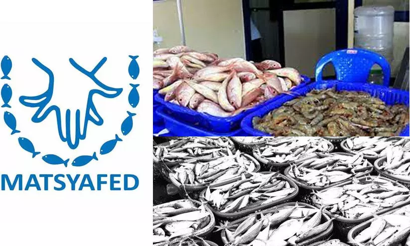 ഗുണഭോക്താക്കളുടെമേൽ മത്സ്യഫെഡ് 3.61 കോടിയുടെ അധിക പലിശ ചുമത്തിയെന്ന് സി.എ.ജി ഗുണഭോക്താക്കളുടെമേൽ മത്സ്യഫെഡ് 3.61 കോടിയുടെ അധിക പലിശ ചുമത്തിയെന്ന് സി.എ.ജി