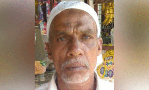 animl attack animl attack