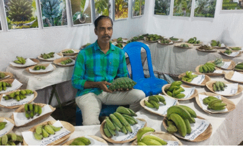 agriculture agriculture