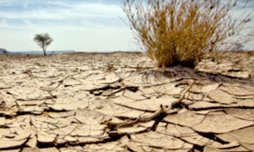 drought drought