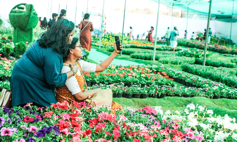 flower festival flower festival