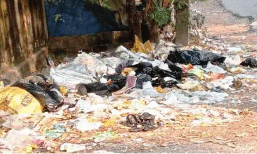 മാ​ലി​ന്യം