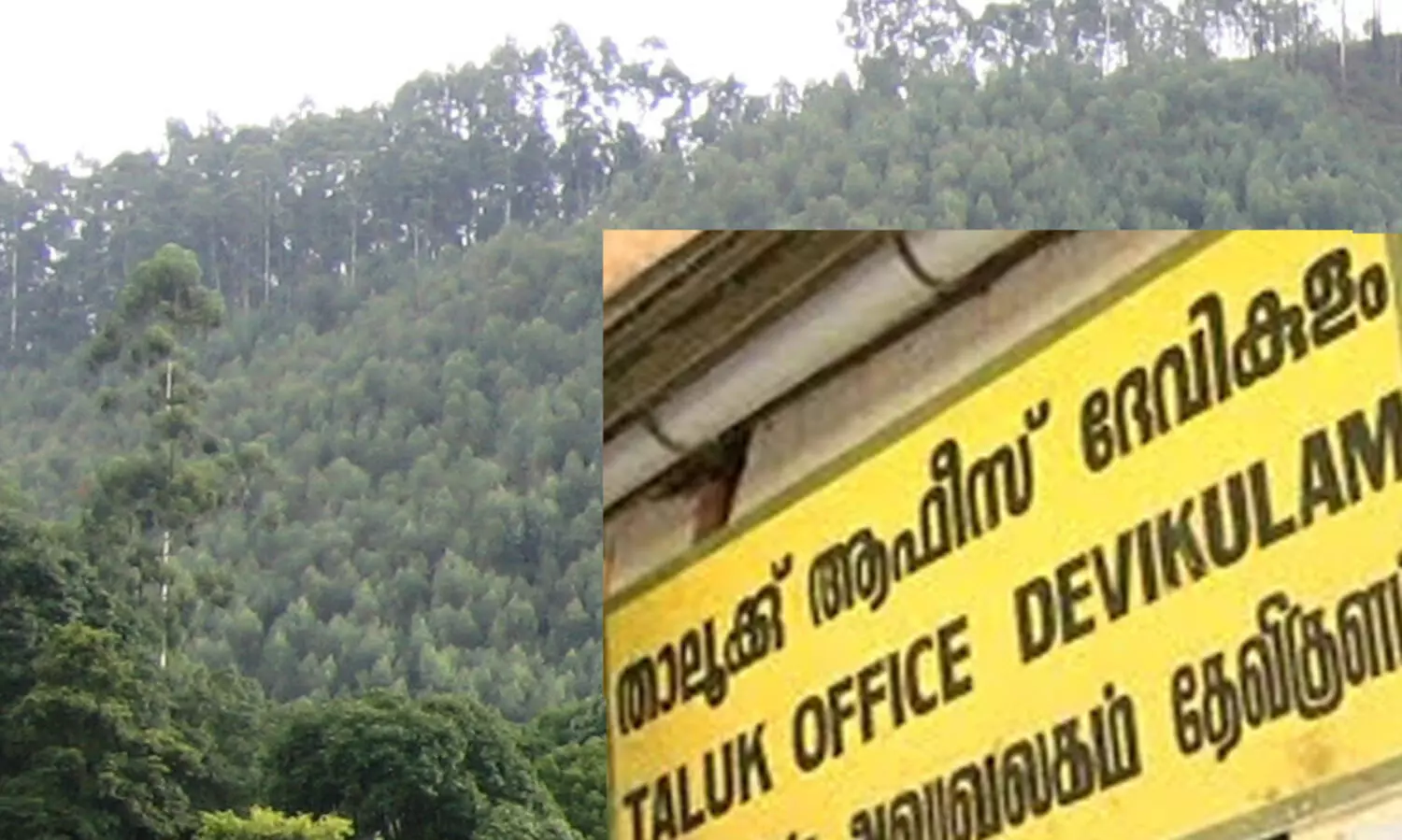 അധികാരമില്ലാത്ത ഉദ്യോഗസ്ഥർ ഭൂമി പതിച്ചും പാട്ടം പുതുക്കിയും നൽകിയെന്ന് റിപ്പോർട്ട്